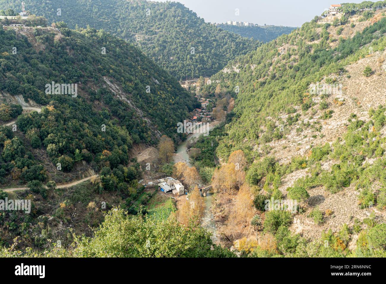 Paesaggio libanese, Valle Bekaa Valle Beqaa (Bekaa), Libano Foto Stock