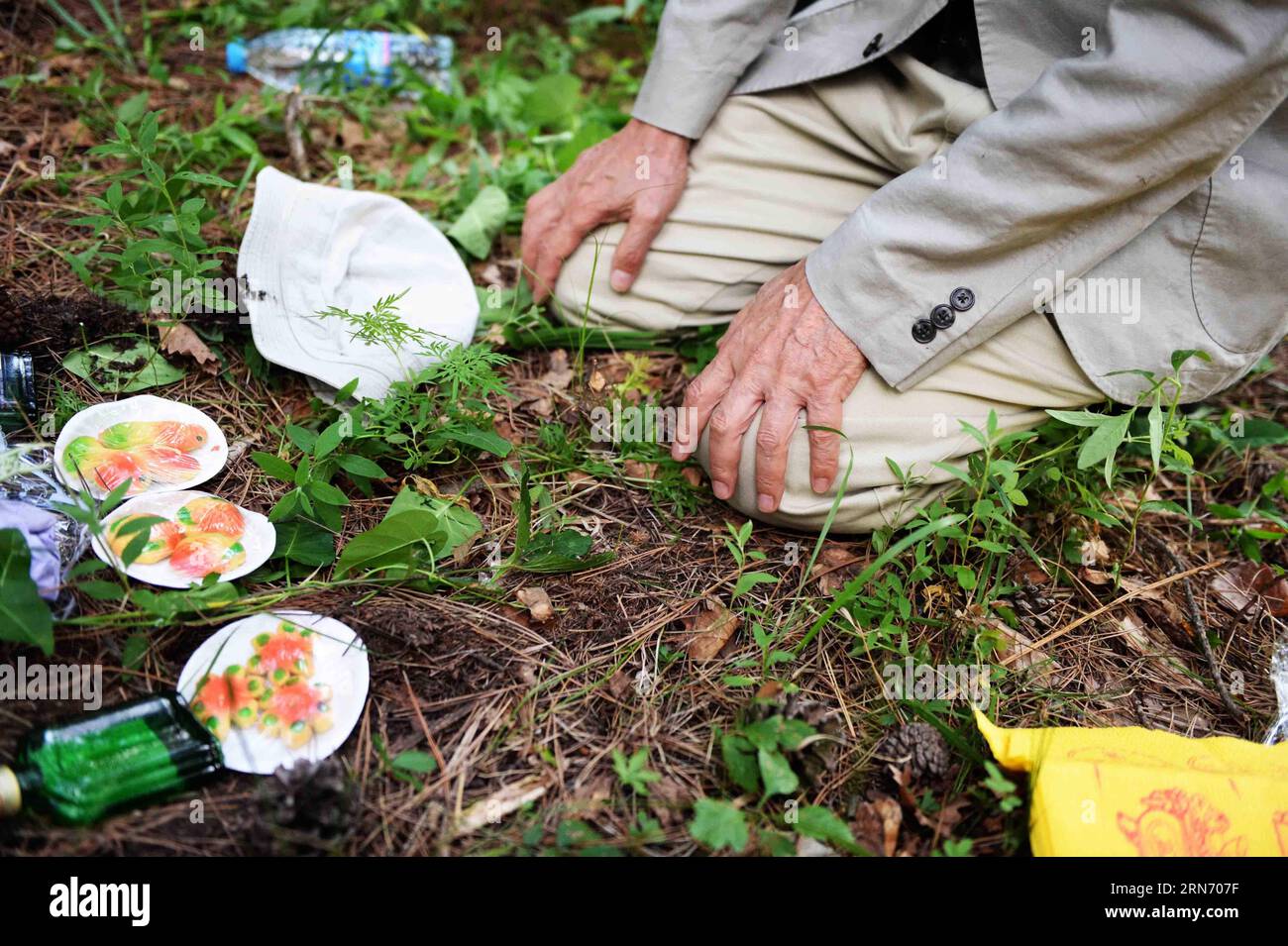 MUDANJIANG, 10 agosto 2015 -- 73 Yohachi Nakajima, un orfano di guerra rimasto in Cina dopo la seconda guerra mondiale, si inginocchiò davanti alla tomba dei suoi genitori adottivi nella città di Mudanjiang, nella provincia di Heilongjiang della Cina nord-orientale, 10 agosto 2015. Nakajima si recò nella provincia di Heilongjiang nel nord-est della Cina nel 1942 con la sua famiglia come membri del gruppo di coloni giapponesi quando era solo un bambino di un anno. Ma nel 1945, quando il Giappone militarista si arrese alla fine della seconda guerra mondiale, fu lasciato solo in Cina. Una contadina cinese locale adottò Nakajima, una bambina dell'ex nemico. Lei cura Foto Stock