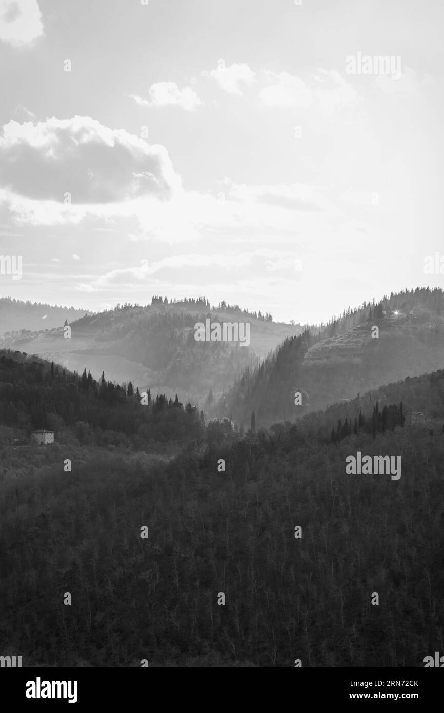 Alba toscana baciata dalla nebbia: Vigneti e alberi nella serenità monocromatica Foto Stock