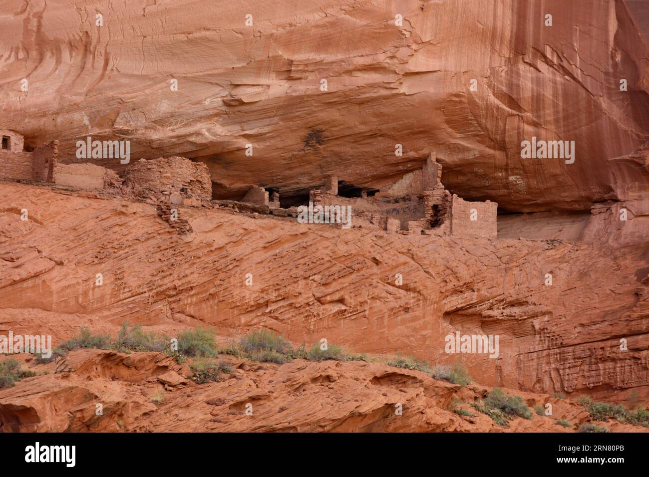 Rovine Anasazi nel Canyon del Muerto nel Canyon De Chelly National Monument - riserva indiana Navajo, Arizona Foto Stock