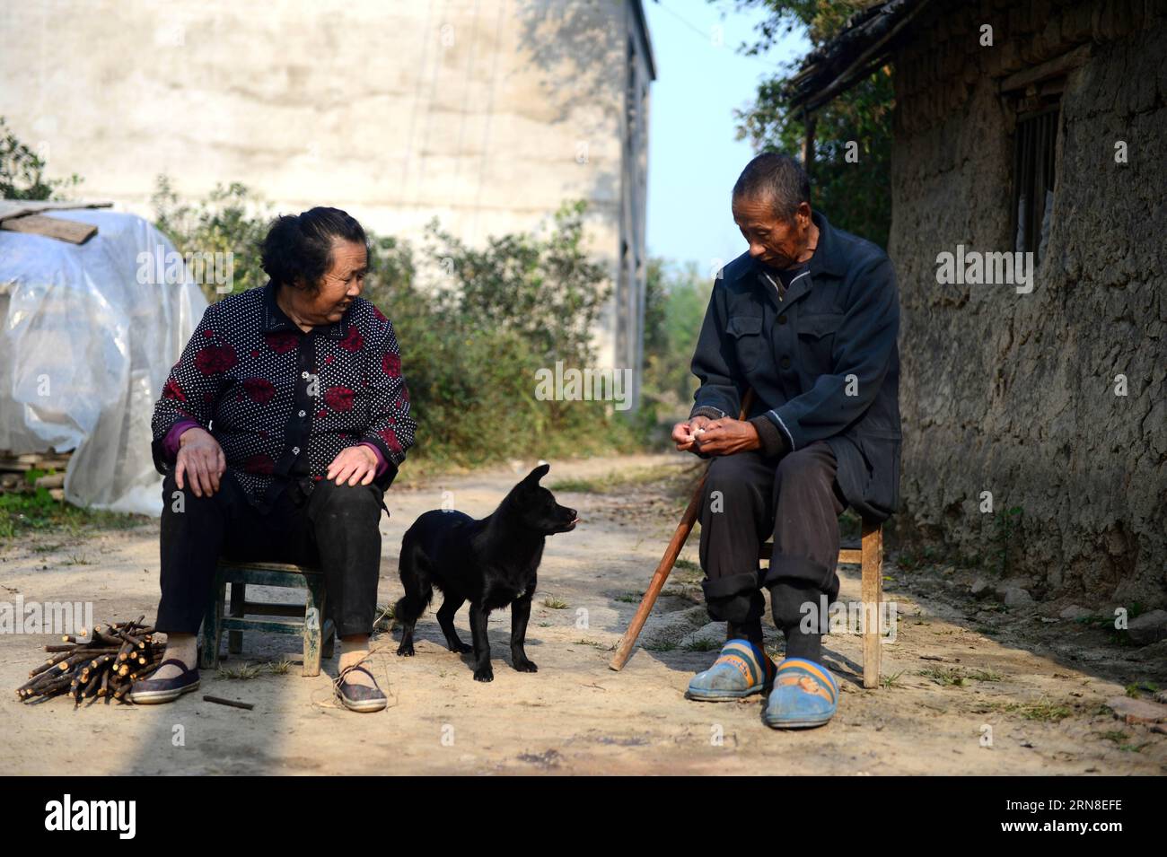 (151020) - PECHINO, 20 ottobre 2015 - Zhou Xianchuan di 71 anni e sua moglie sono visti con il loro cane di nome Heizi nella contea di Feixi, nella provincia di Anhui nella Cina orientale, 16 ottobre 2015. Alla fine del 2014, il numero degli anziani cinesi sopra i 60 anni era di 212 milioni, circa il 15,5% della popolazione totale del paese. Oggi, sempre più anziani in Cina preferiscono allevare animali domestici che hanno dimostrato di dare un contributo positivo alla vita di un anziano. )(wyo) CHINA-SENIOR PEOPLE-PARTNER-PET (CN) LiuxJunxi PUBLICATIONxNOTxINxCHN Beijing OCT 20 2015 71 Year Old Zhou and HIS W Foto Stock