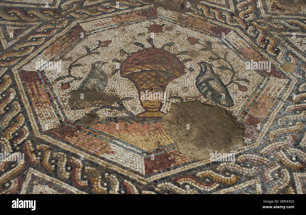 LOD (ISRAELE), parte di un mosaico di 1.700 anni fa è visibile a Lod, una città ad est di Tel Aviv, nel centro di Israele, il 16 novembre 2015. L'Autorità israeliana per le antichità ha svelato lunedì un mosaico di pavimento di epoca romana, che è stato scoperto l'anno scorso durante la costruzione di un centro visitatori destinato a esporre un altro mosaico scoperto due decenni fa nello stesso luogo. Gli archeologi hanno detto che il mosaico mozzafiato serviva come pavimento del soggiorno di una villa circa 1.700 anni fa). ISRAEL-LOD-MOSAIC-UNCOVERING LixRui PUBLICATIONxNOTxINxCHN Lod Israel parte di un mosaico di 700 anni fa È Lakes in Lod una città ad est di Tel Foto Stock