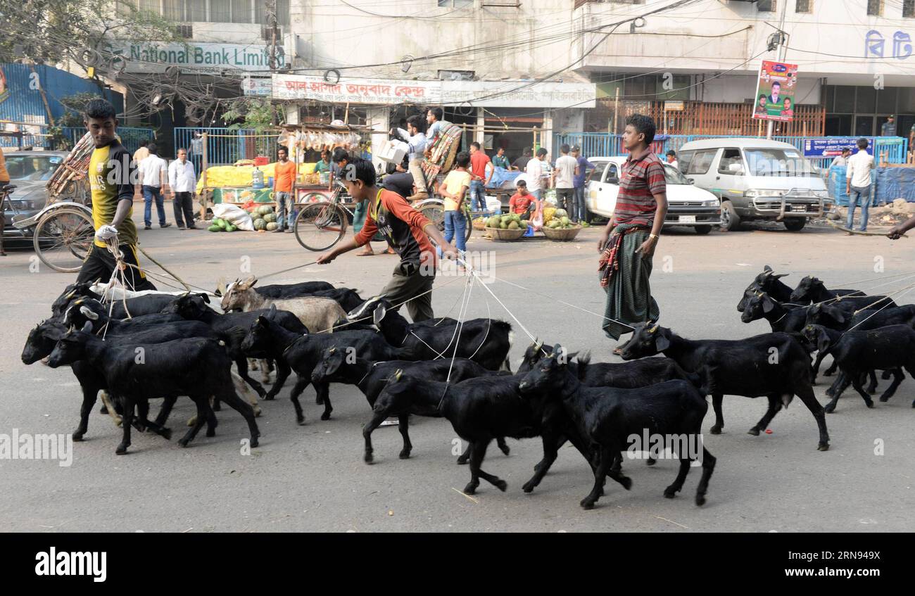 (151118) -- DACCA, 18 novembre 2015 -- allevamenti di pastori al mercato Karwan Bazar di Dacca, Bangladesh, 16 novembre 2015. ) BANGLADESH-DHAKA-MARKET SharifulxIslam PUBLICATIONxNOTxINxCHN Dhaka Nov 18 2015 Shepherds Drive Flock AT Karwan Bazar Market a Dacca Bangladesh Nov 16 2015 Bangladesh Dhaka Market SharifulxIslam PUBLICATIONxNOTxINxCHN Foto Stock