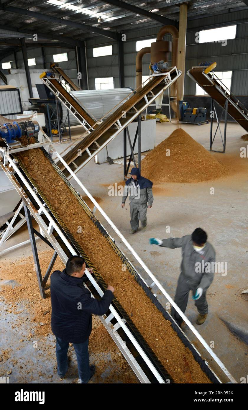 ENSHI, 18 novembre 2015 -- i residui agricoli e forestali sono prodotti in biocarburanti presso una società di bioenergia nella contea di Xuan en di Enshi Tujia e nella prefettura autonoma di Miao, nella provincia di Hubei della Cina centrale, 18 novembre 2015. ) (wf) CHINA-HUBEI-BIO-ENERGY (CN) SongxWen PUBLICATIONxNOTxINxCHN Biomassen Verarbeitung für Energiegewinnung in Cina Enshi Nov 18 2015 i residui agricoli e forestali sono fabbricati in biocarburanti PRESSO una Bio Energy Company a Xuan en County of Enshi Tujia and Miao Autonomous Prefecture Central China S Hubei Province Nov 18 2015 WF Hubei China Bio Energy CN SongxWen Foto Stock