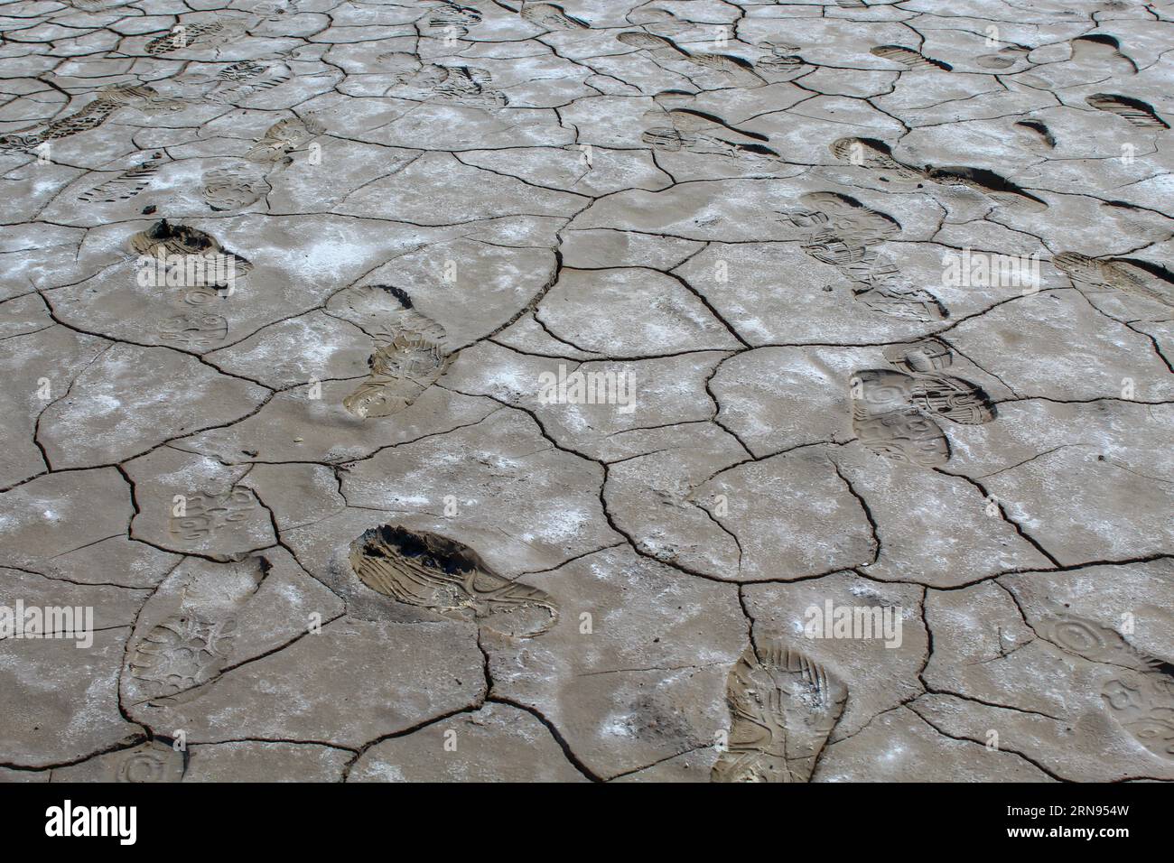 Paludi saline vicino al lago Baskunchak. Russia, regione di Astrakhan Foto Stock