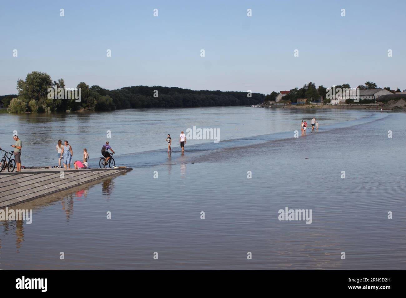 "Camminare sull'acqua" sul fiume Drava vicino a Osijek, a un livello dell'acqua di 358 centimetri Foto Stock