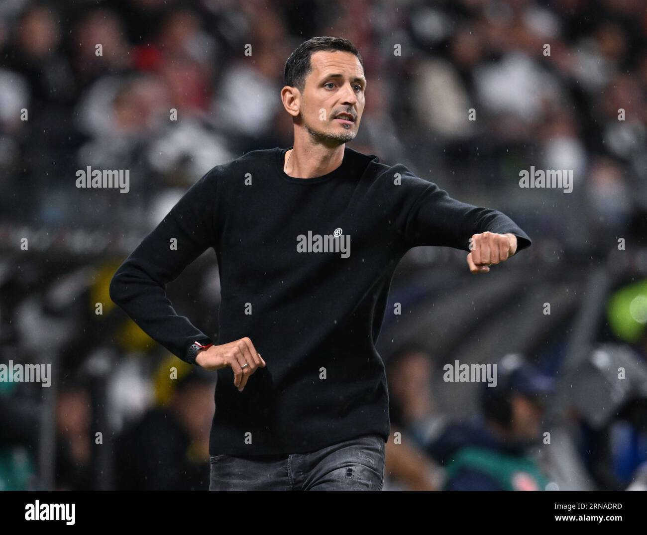 31 Agosto 2023 Assia Francoforte Sul Meno Calcio Qualificazione 31-agosto-2023-assia-francoforte-sul-meno-calcio-qualificazione