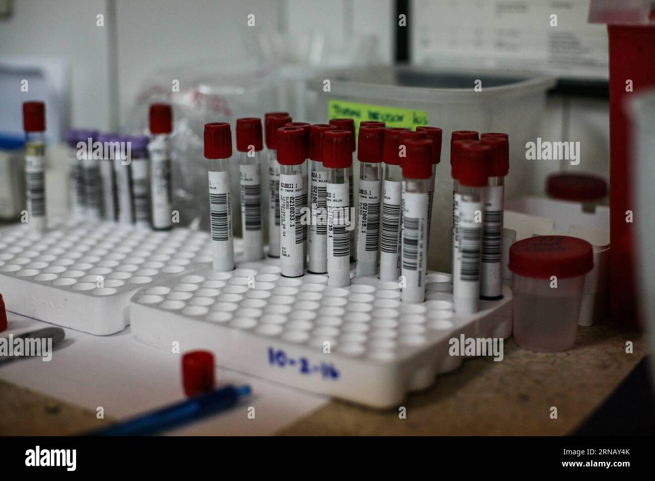 (160210) -- CARACAS, 10 febbraio 2016 -- le provette sono conservate presso il laboratorio Salud Chacao di Caracas, Venezuela, il 10 febbraio 2016. Un totale di 31 organizzazioni ha annunciato mercoledì che condivideranno i dati e i risultati relativi all'attuale crisi Zika e alle future emergenze di sanità pubblica nel modo più rapido e aperto possibile. Boris Vergara) (jg) (sp) VENEZUELA-CARACAS-HEALTH-ZIKA e BorisxVergara PUBLICATIONxNOTxINxCHN Caracas 10 febbraio 2016 le provette di prova sono conservate PRESSO il laboratorio Salud Chacao di Caracas Venezuela IL 10 febbraio 2016 un totale di 31 organizzazioni hanno annunciato mercoledì Thatcher che Lo faranno Foto Stock