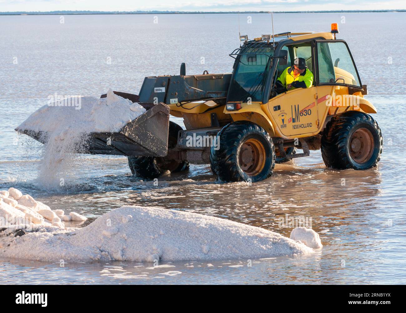 Estrazione del sale presso WA Salt Supply, lago Deborah, Australia Occidentale Foto Stock