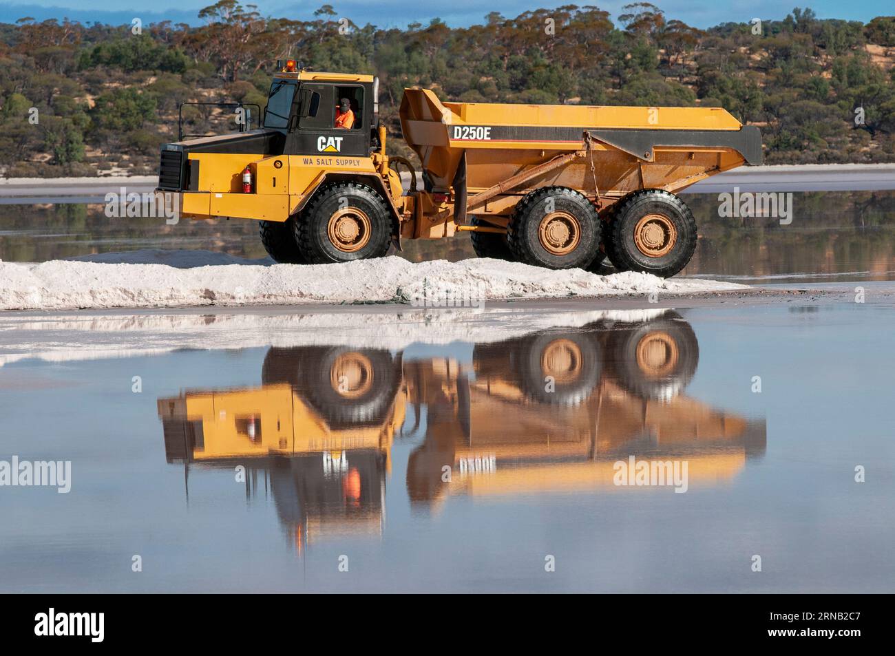 Dumper pesante Caterpillar D250E presso la WA Salt Supply Company per l'estrazione del sale, Lake Deborah, Australia Occidentale Foto Stock