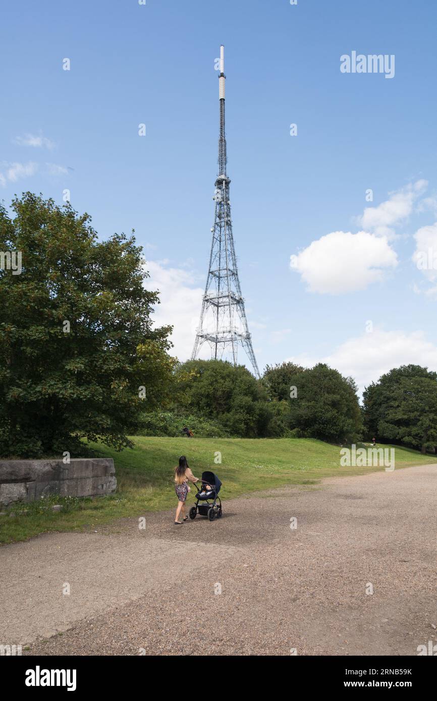 Crystal Palace Transmitting Station, conosciuta come Arqiva Crystal Palace, Crystal Palace, Londra, SE19, Inghilterra, REGNO UNITO Foto Stock