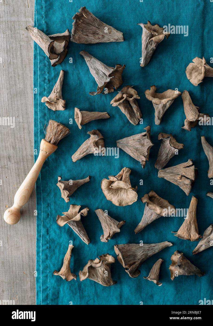 Funghi tromba neri appena foraggiati sparsi su un asciugamano di lino Foto Stock
