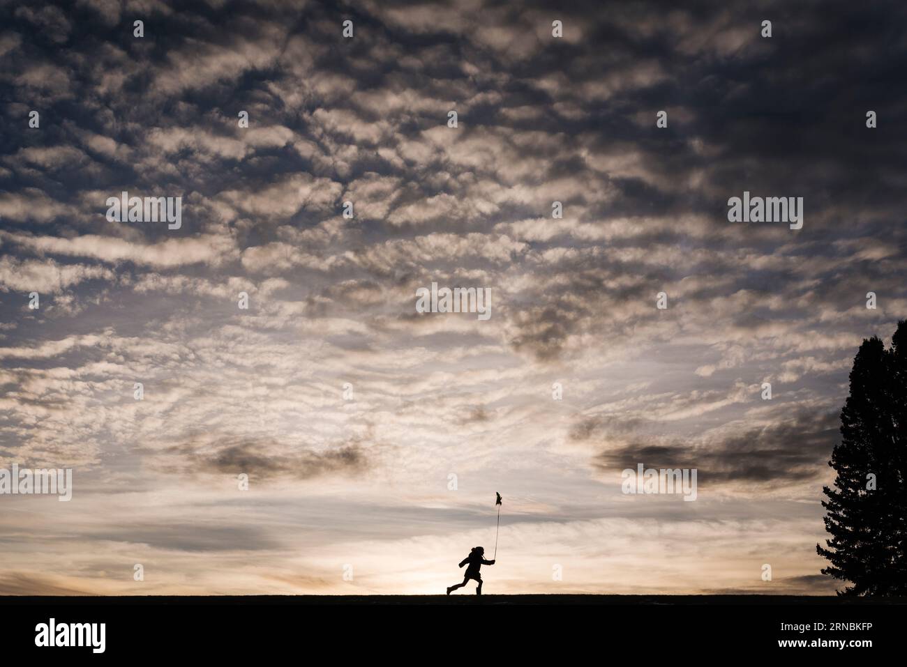 Silhouette di ragazza che corre con coda di gatto al tramonto sotto il cielo Foto Stock