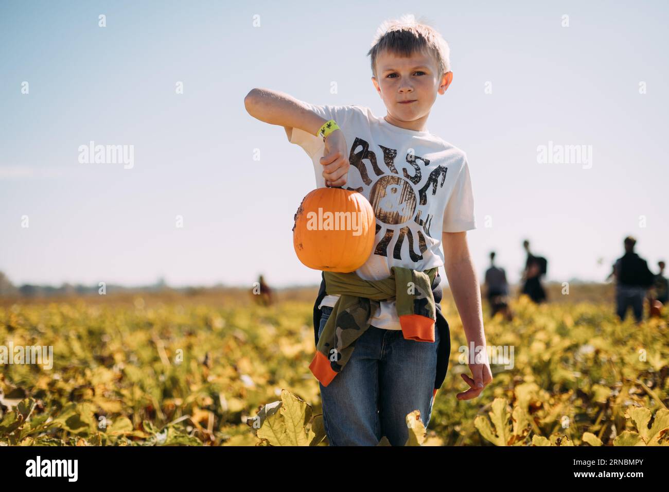 Un ragazzo che tiene in mano una piccola zucca raccolta in una toppa di zucca Foto Stock