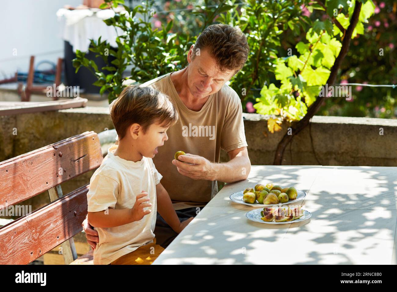 Padre e figlio mangiano fichi nel cortile della loro casa Foto Stock