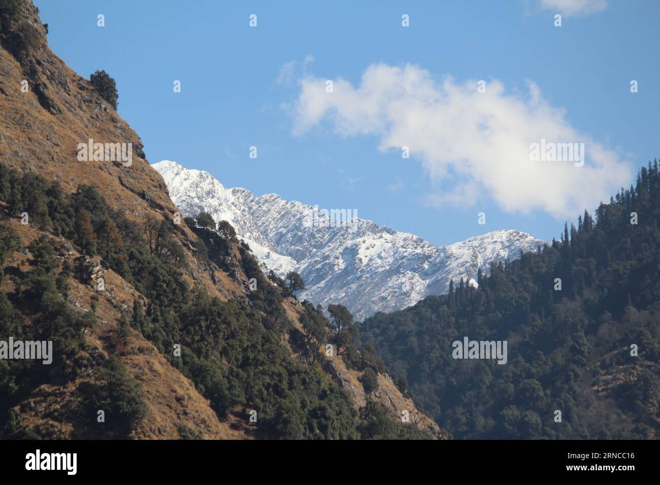 Una vista panoramica del trekking di Chandrashila con Chopra Tungnath, Uttarakhand, India Foto Stock