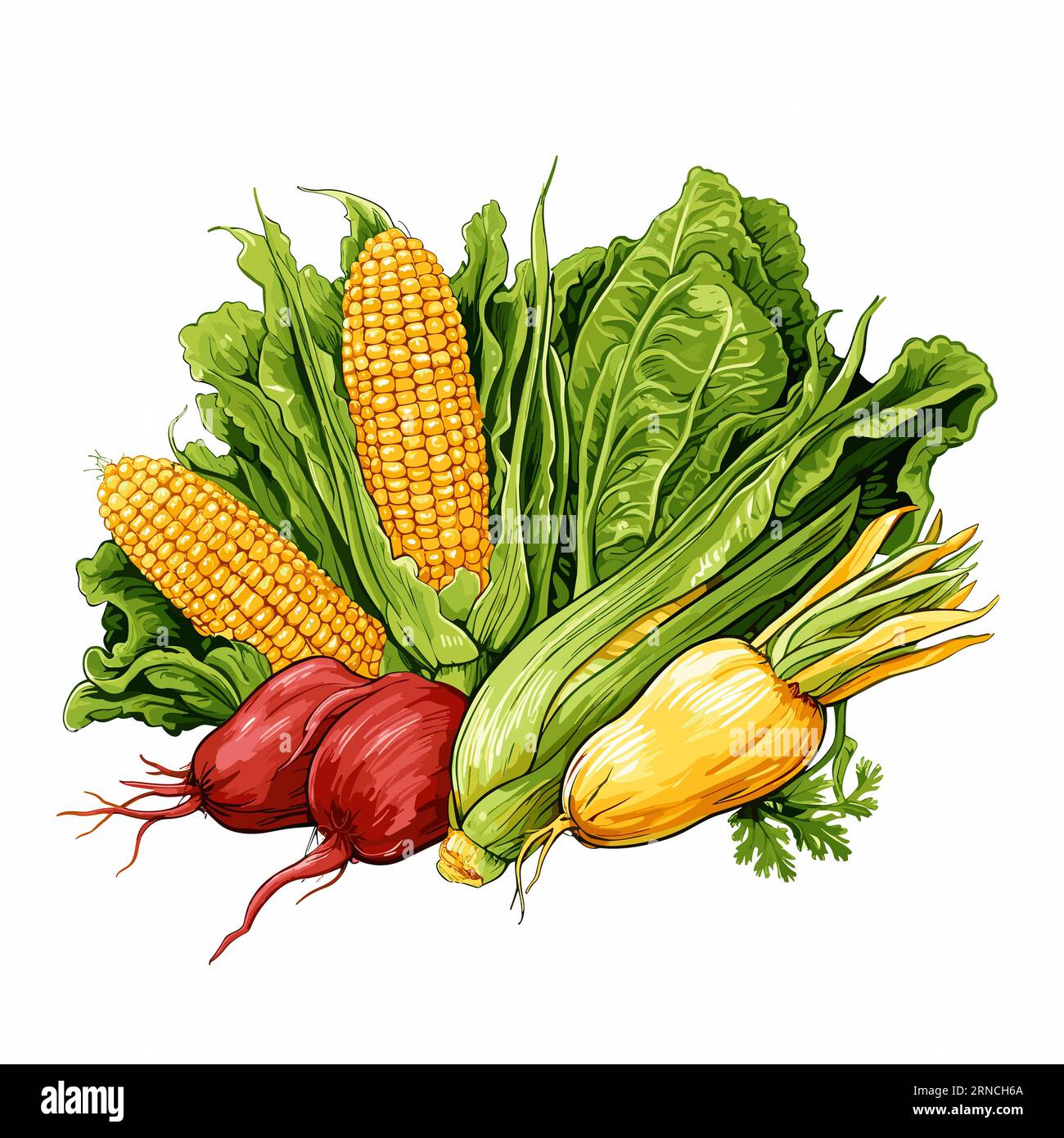 Pasto sano immagine di scorta di mais, barbabietole e broccoli, nello stile di ritrattista realistico, illustrazione grafica, illustrazioni botaniche dettagliate Illustrazione Vettoriale