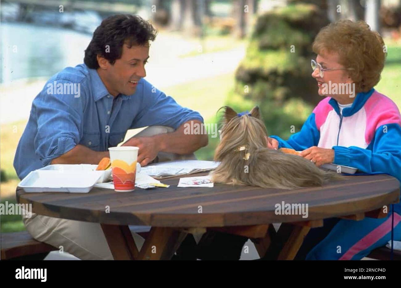 BASTA! O MIA MAMMA GIRERÀ 1992 film della Universal Pictures con Sylvester Stallone ed Estelle Getty Foto Stock