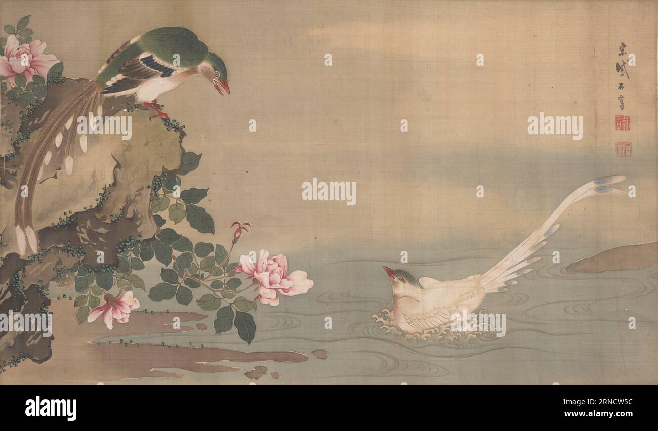 Uccelli dalla coda lunga e rose di Sō Shiseki Foto Stock