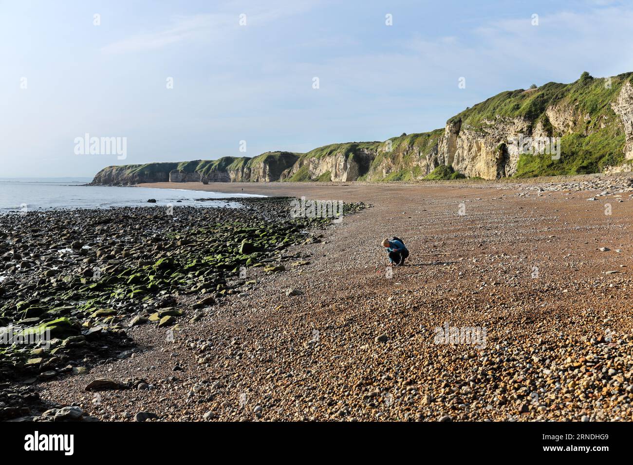 Una donna cerca il vetro di Seaham sulla Blast Beach, Durham Heritage Coast, Seaham, County Durham, UK Foto Stock