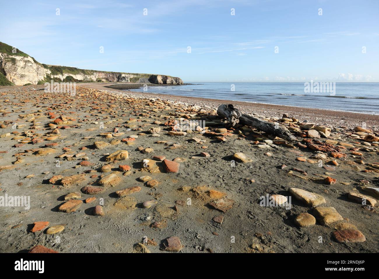 La Blast Beach e la vista verso Nose's Point, Durham Heritage Coast, Seaham, County Durham, Regno Unito Foto Stock