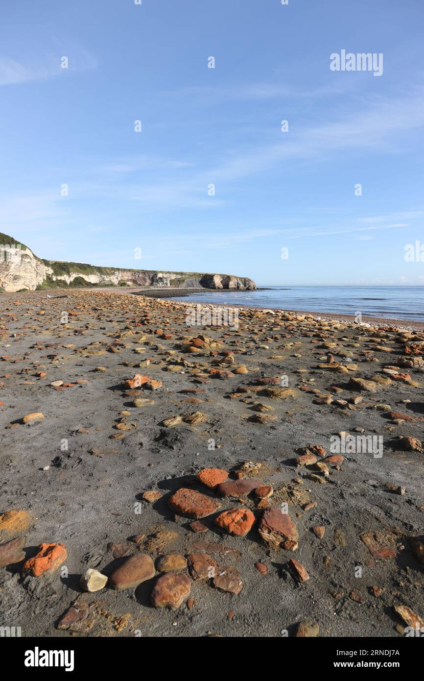 Rocce colorate sulla Blast Beach con vista verso Nasi's Point, Durham Heritage Coast, Seaham, County Durham, UK Foto Stock