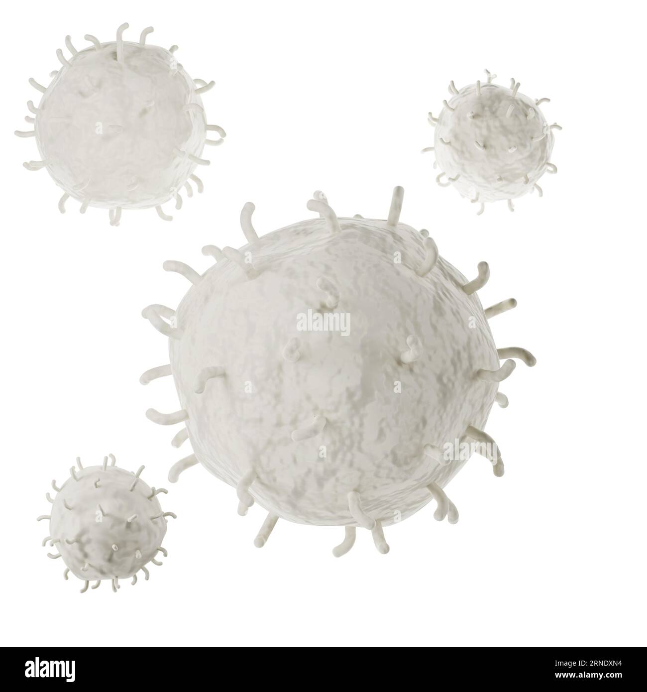 Analisi realistica delle icone dei globuli bianchi 3D. Illustrazione medica dei leucociti su sfondo bianco con percorso di ritaglio Foto Stock