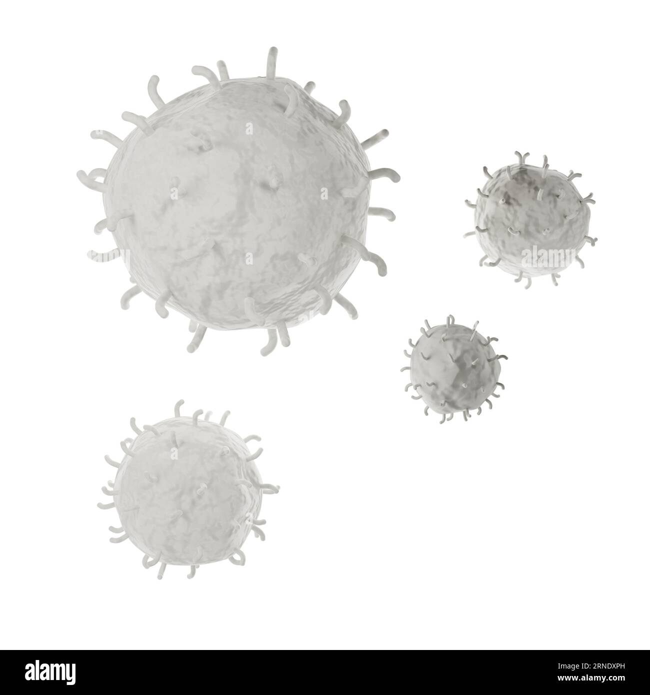 Analisi realistica delle icone dei globuli bianchi 3D. Illustrazione medica dei leucociti su sfondo bianco con percorso di ritaglio Foto Stock