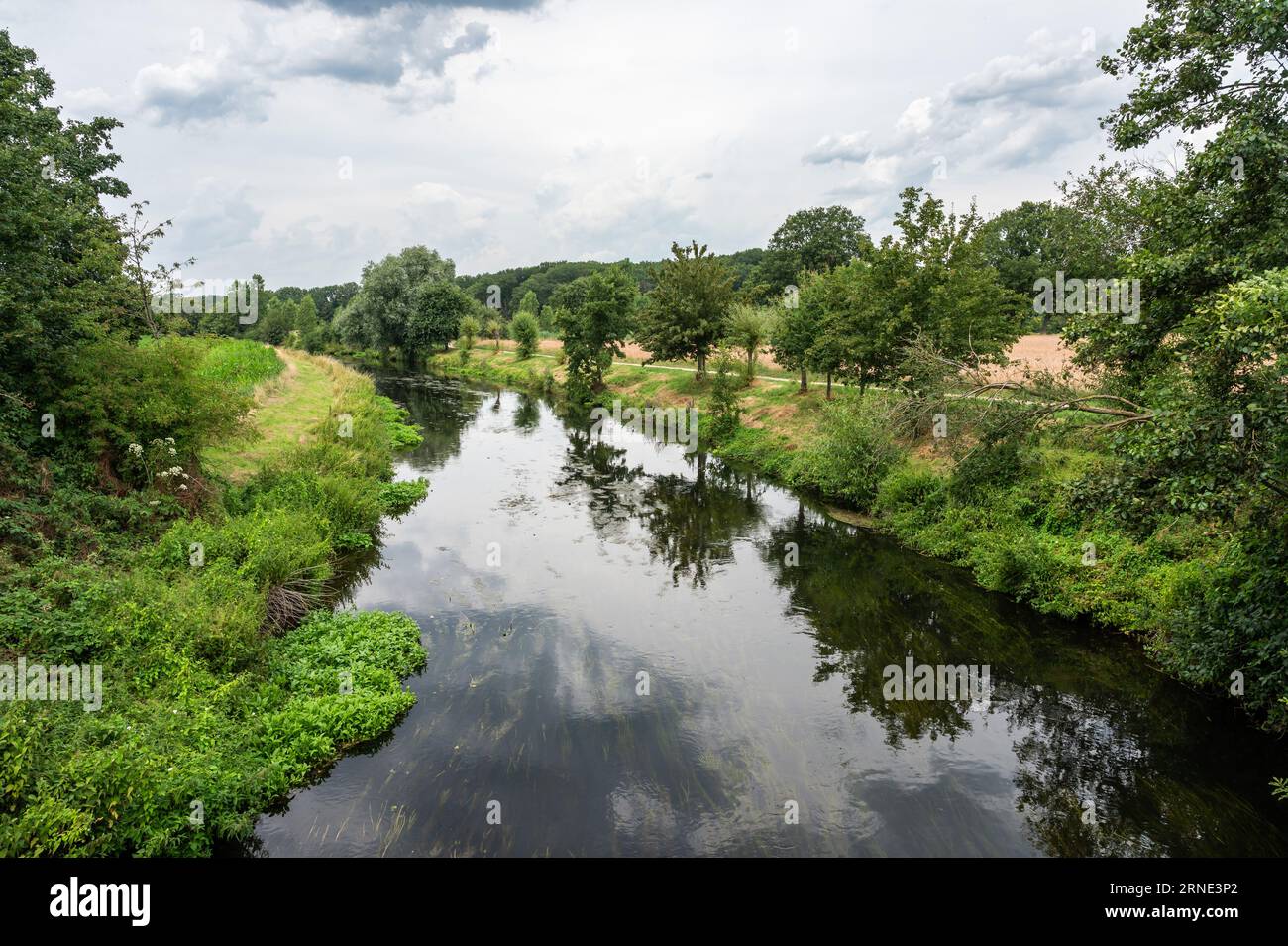 Riflessi naturali in un torrente del fiume Niers, Wissen, Renania settentrionale Vestfalia, Germania Foto Stock