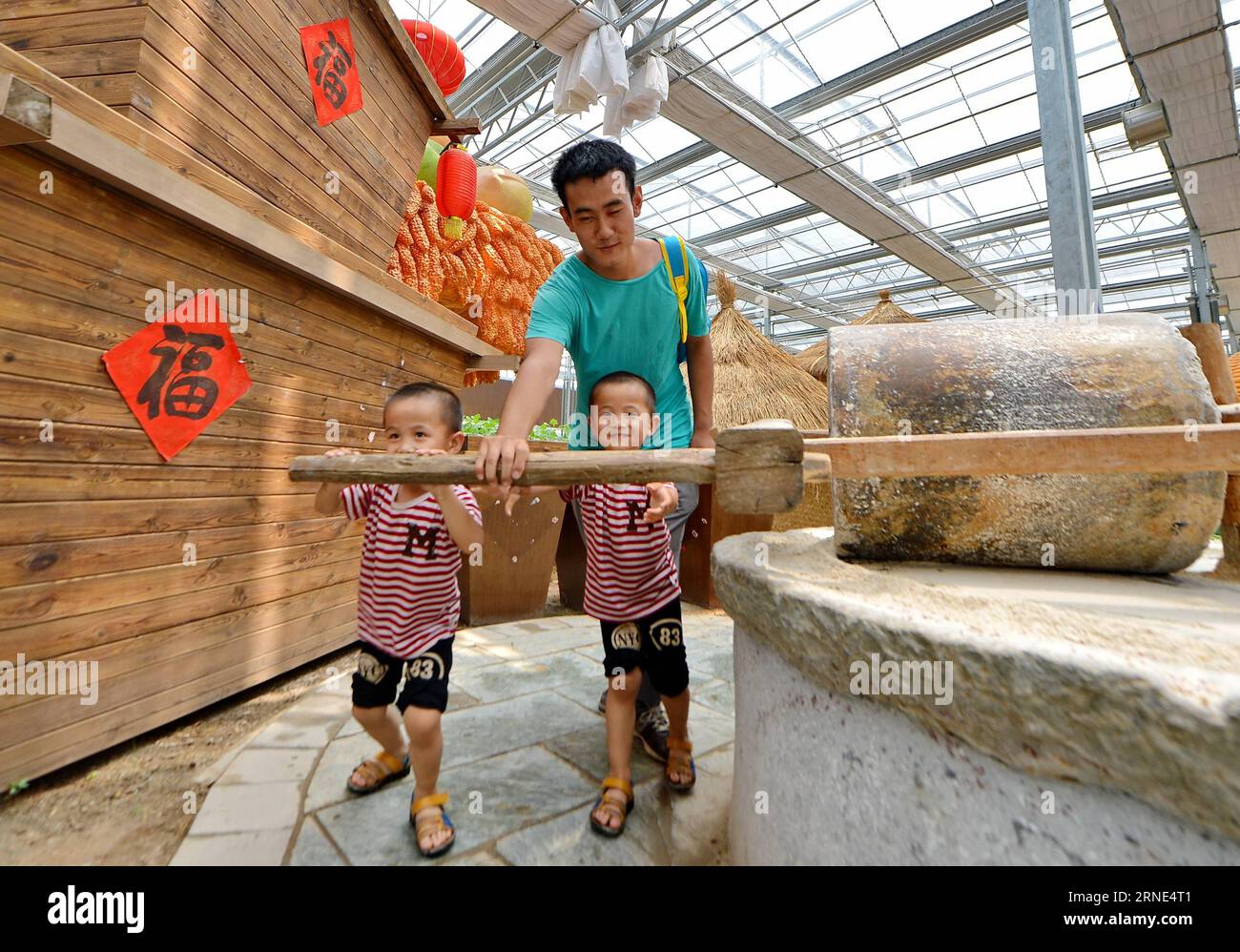 (160609) -- SHIJIAZHUANG, 9 giugno 2016 -- Un paio di gemelli girano una macina in un carnevale agricolo durante la festa del Dragon Boat Festival nella contea di Nanhe, nella provincia di Hebei, nella Cina settentrionale, 9 giugno 2016. ) (Zwx) CHINA-HEBEI-NANHE-AGRICULTURE CARNIVAL(CN) MouxYu PUBLICATIONxNOTxINxCHN 160609 Shijiazhuang 9 giugno 2016 una coppia di gemelli trasformano un mulino IN pietra al Carnevale agricolo durante la festa della barca del drago nella provincia di Hebei 9 giugno 2016 zwx China Hebei Agriculture Carnival CN MouxYu PUBLICATIONXNOTxINCHN Foto Stock