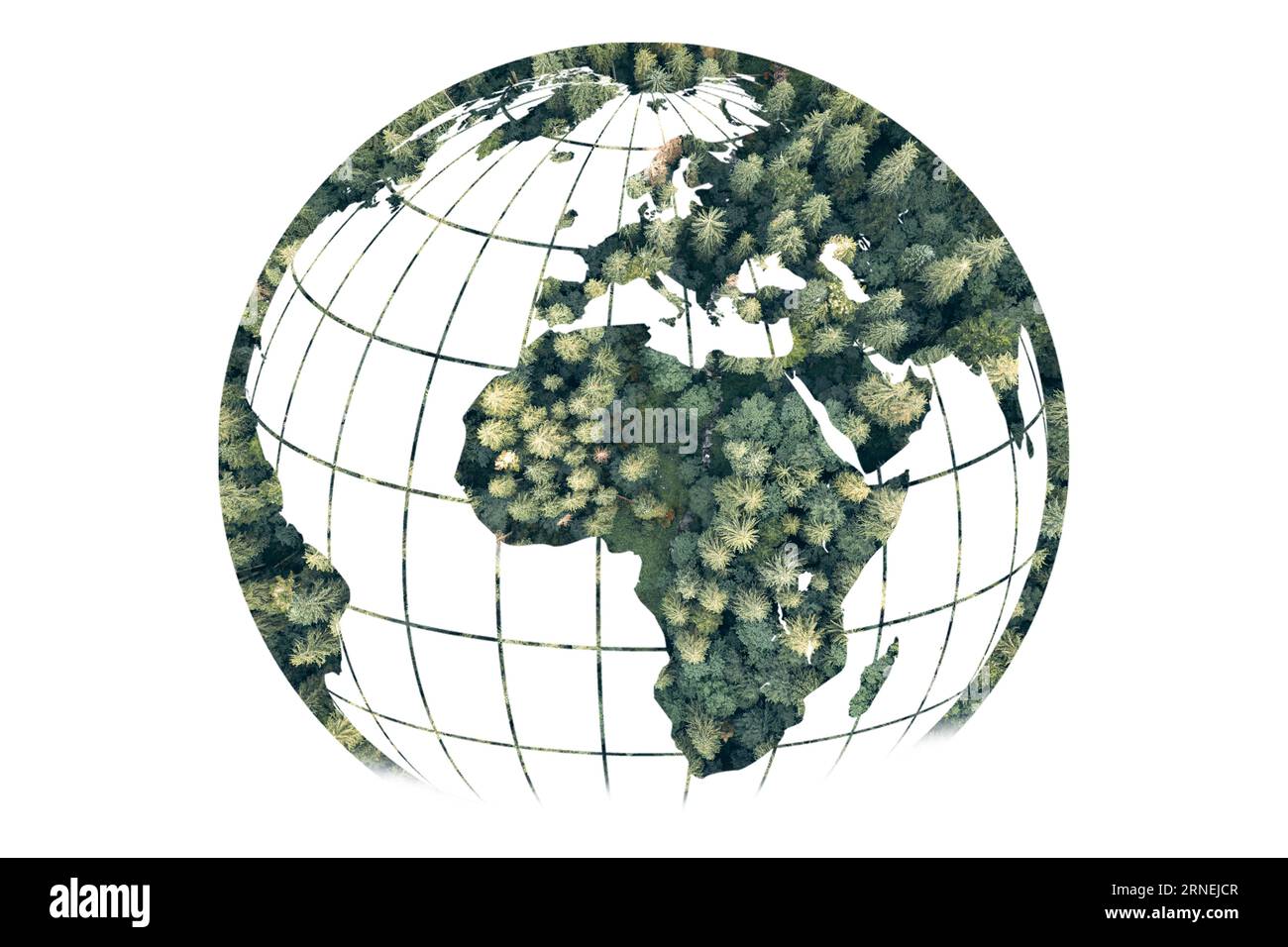 A forma di albero come la mappa del mondo. Mappa del mondo verde - albero a forma di mappa del mondo isolato su sfondo bianco. Foto Stock