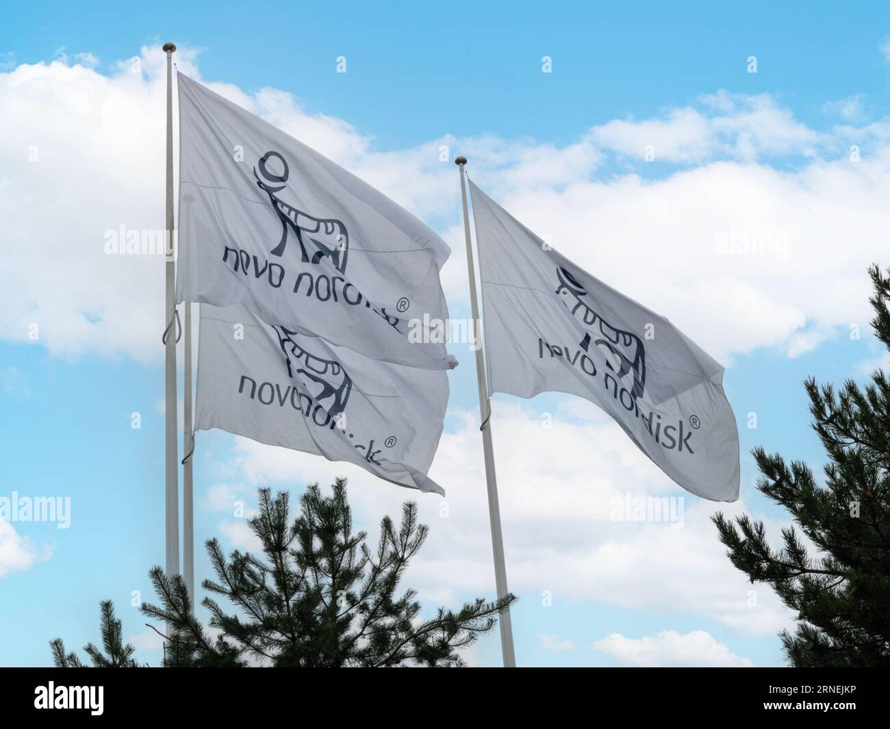 Novo Nordisk contrassegna le bandiere che sventolano da un'asta con sfondo blu. Un'azienda farmaceutica con sede in Danimarca. Copenaghen, Danimarca - 12 agosto Foto Stock