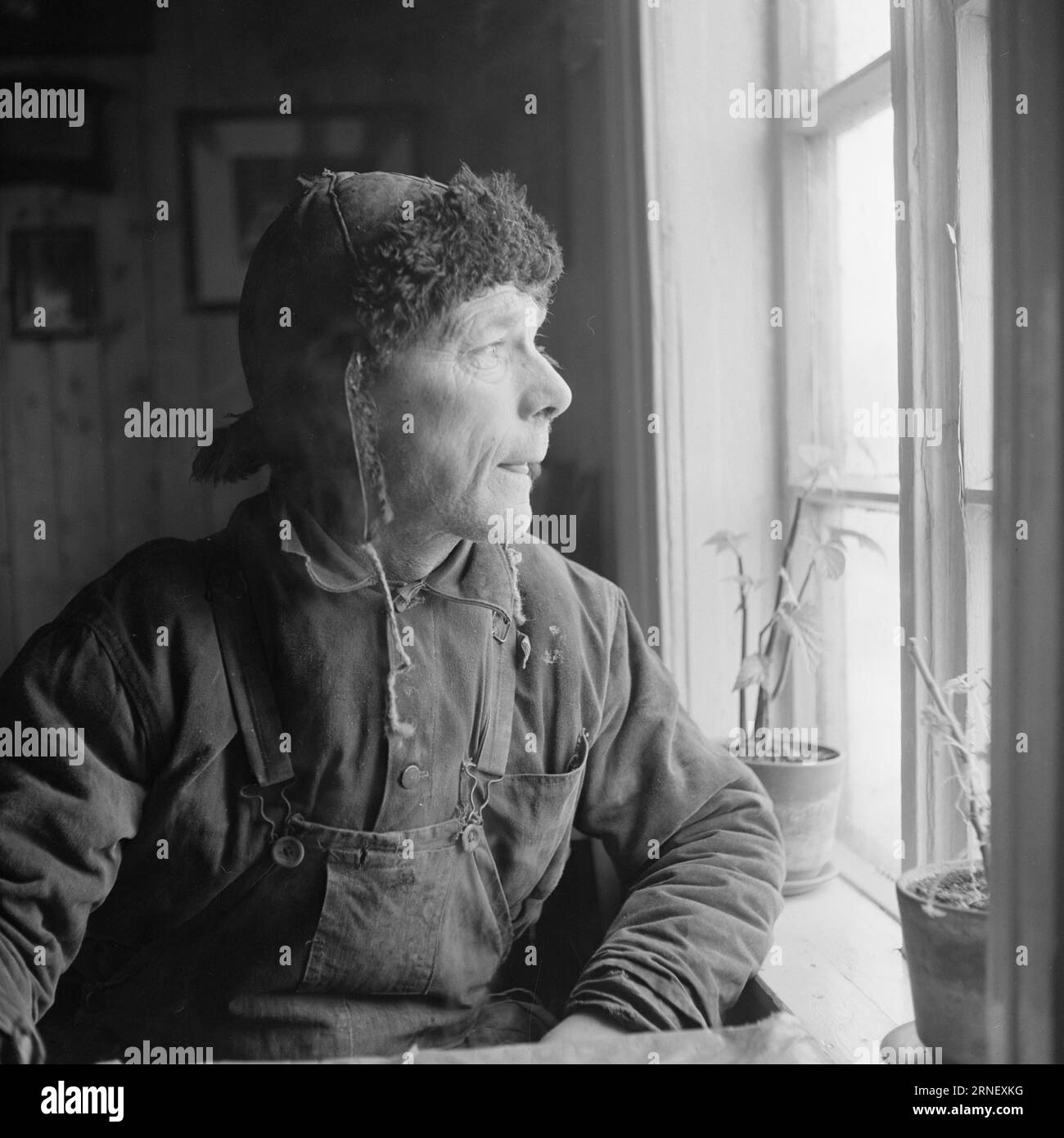 Attuale 06- 1951: Addio all'ansia e deathLofoten nell'inverno del 1951. Diversi villaggi di pescatori nel Lofoten sono stati lasciati liberi perché non sono in grado di operare senza elettricità, strade, banchine e collegamenti telefonici. In alcuni luoghi, i comuni hanno chiesto denaro per il trasferimento dallo stato per trasferire l'intera popolazione, compresi gli edifici residenziali. Helmer Johansen, Eggum, vive così esposte che quando ci sono maree primaverili e galee sudoccidentali, il mare arriva fino alla finestra qui: "Non oso andare a letto quando entra il sud-ovest." Johansen e quattro o. Foto Stock