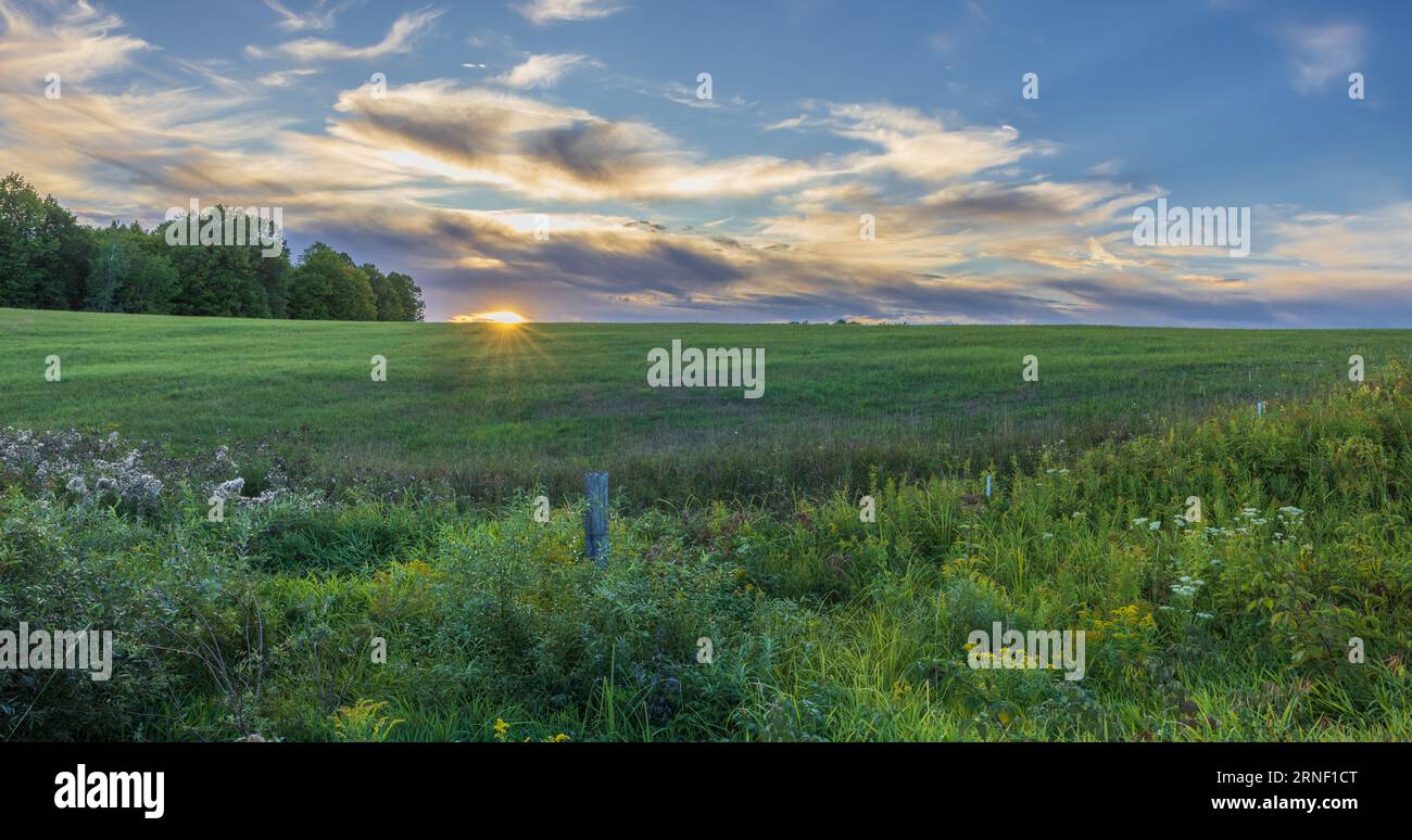 Gli ultimi raggi di luce del giorno che illuminano un campo di fieno nel Wisconsin settentrionale. Foto Stock