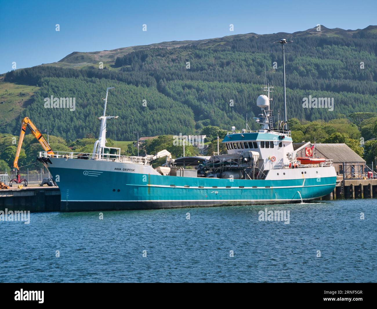 L'Aqua Gripfisk nave da pesca viva ormeggiata a Campbeltown sulla penisola di Kintyre in Scozia, Regno Unito. Sulla flotta AquaShip costruita nel 1997 e registe Foto Stock