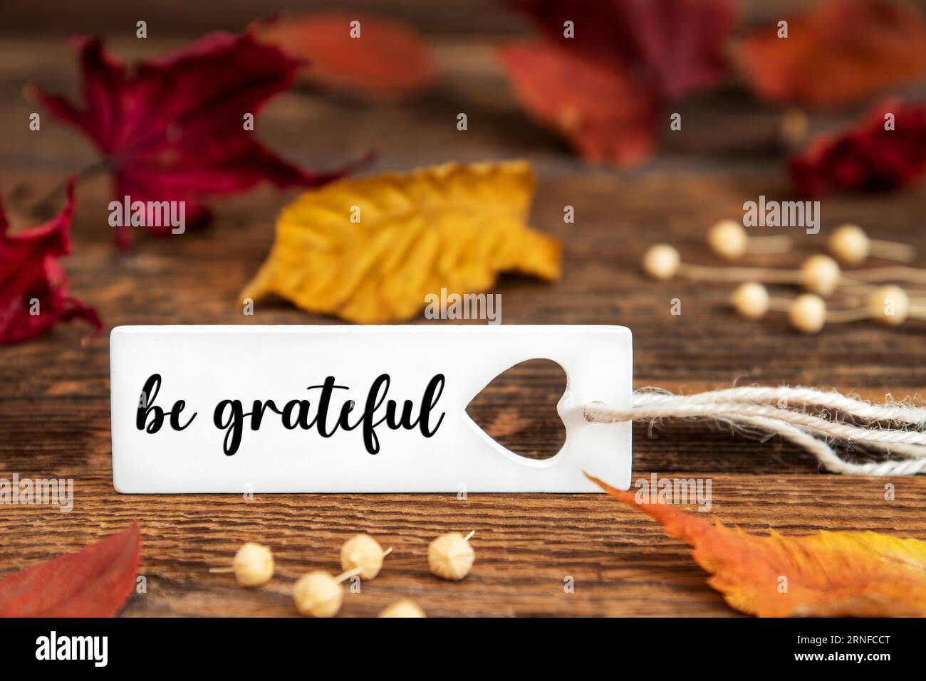 Sfondo autunnale o autunnale con etichetta con testo inglese Be Grateful, foglie autunnali colorate, sfondo stagionale con preventivo Foto Stock