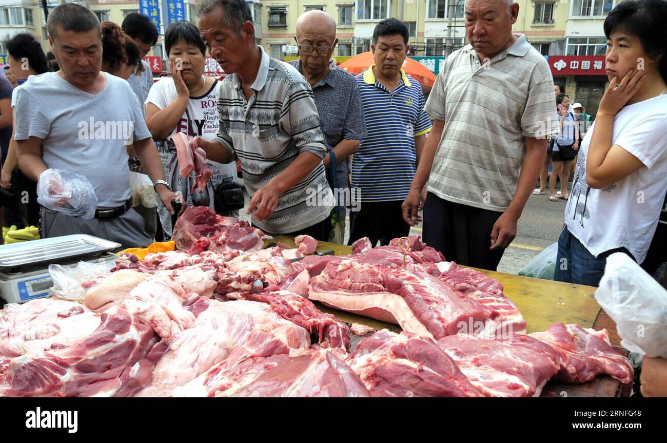 (160807) -- FUXIN, 7 agosto 2016 -- la gente compra carne di maiale fresca in un mercato a Fuxin, nella provincia di Liaoning della Cina nordorientale, 7 agosto 2016. Periodo solare cinese inizio autunno cade il 7 agosto di quest'anno. La gente di solito mangia carne in questo giorno, con il significato di recuperare il grasso perso durante l'estate e immagazzinare energia per il prossimo inverno. )(wjq) CHINA-LIAONING-AUTUMN BEGINNING-CUSTOM (CN) LixMingfang PUBLICATIONxNOTxINxCHN 160807 Fuxin 7 agosto 2016 celebrità acquistano maiale fresco IN un mercato a Fuxin provincia di Liaoning della Cina nordorientale 7 agosto 2016 Chinese Solar Term INIZIO Autumn Falls ON Aug 7 This Year Celeb Foto Stock
