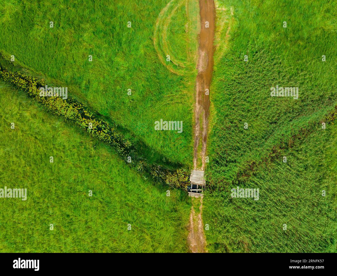 Lago Dry Cerknica Foto Stock