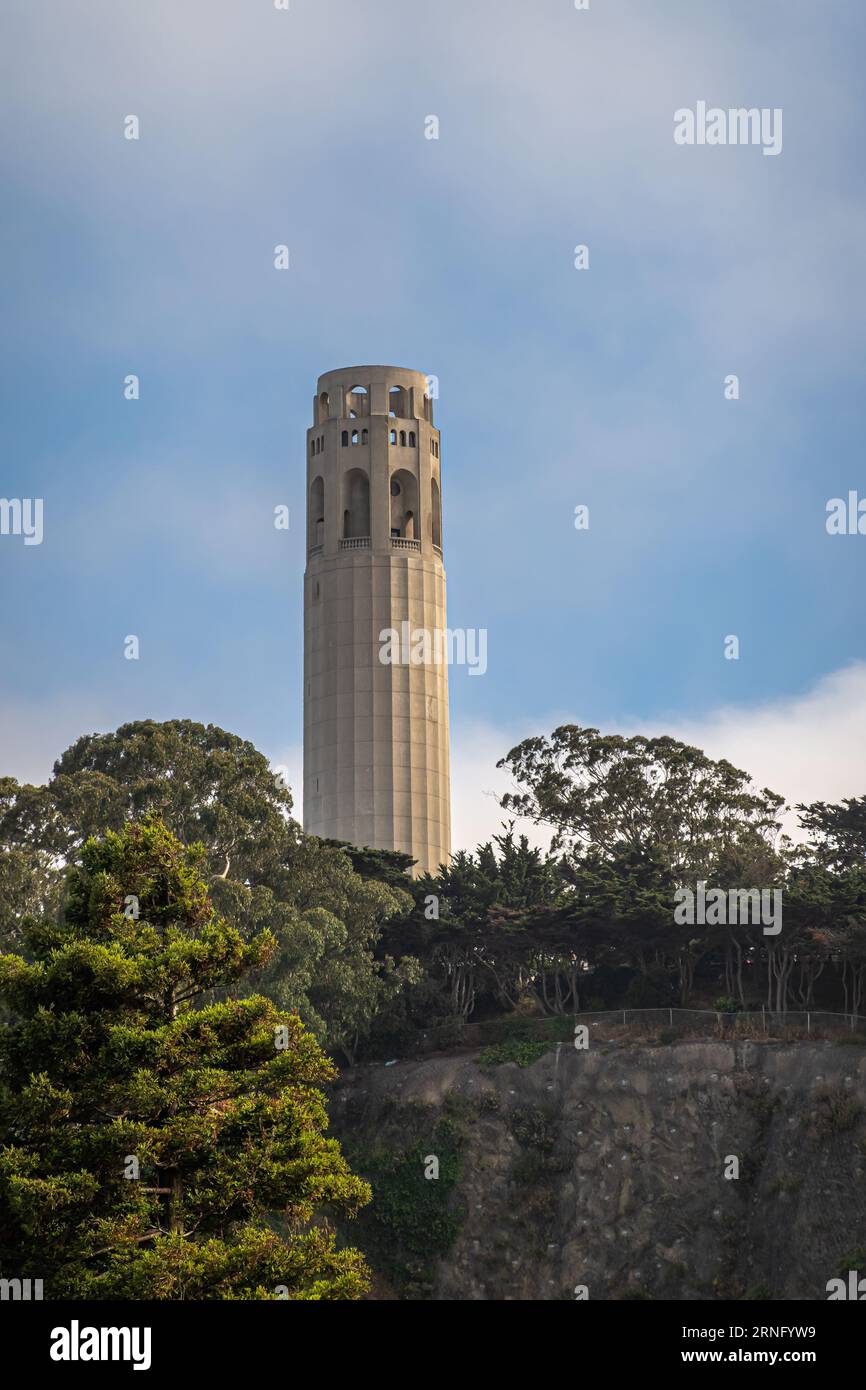 San Francisco, CA, Stati Uniti - 12 luglio 2023: Luce serale sulla Coit Memorial Tower sulla Telegraph Hill nel Pioneer Park sotto il cielo nuvoloso azzurro. Green foli Foto Stock