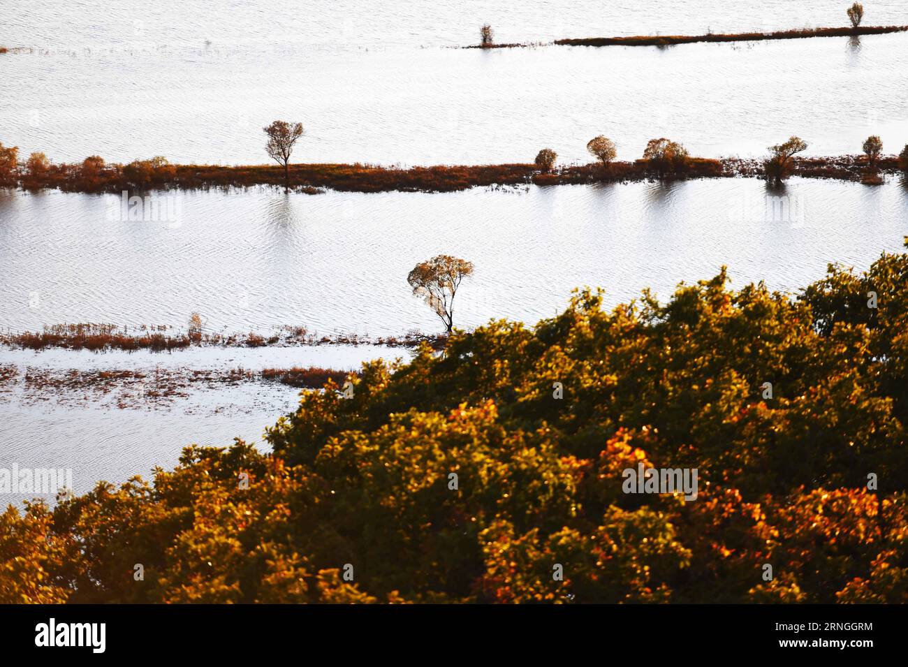 (160929) -- HULIN, 28 settembre 2016 -- foto scattata il 28 settembre 2016 mostra lo scenario della zona umida dell'isola di Zhenbao a Hulin, nella provincia di Heilongjiang nella Cina nordorientale. La zona umida di 29 275 ettari è stata designata come zona umida di importanza internazionale dalla Convenzione di Ramsar nel 2011 per la sua importanza vitale come zona umida unica per la diversità biologica. (Ry) CHINA-HEILONGJIANG-ZHENBAO ISLAND-LANDSCAPE (CN) WangxJianwei PUBLICATIONxNOTxINxCHN Hulin settembre 28 2016 la foto scattata IL 28 2016 settembre mostra il paesaggio della zona umida islandese di Zhenbao a Hulin provincia di Heilongjiang nel nord-est della Cina 2 Foto Stock