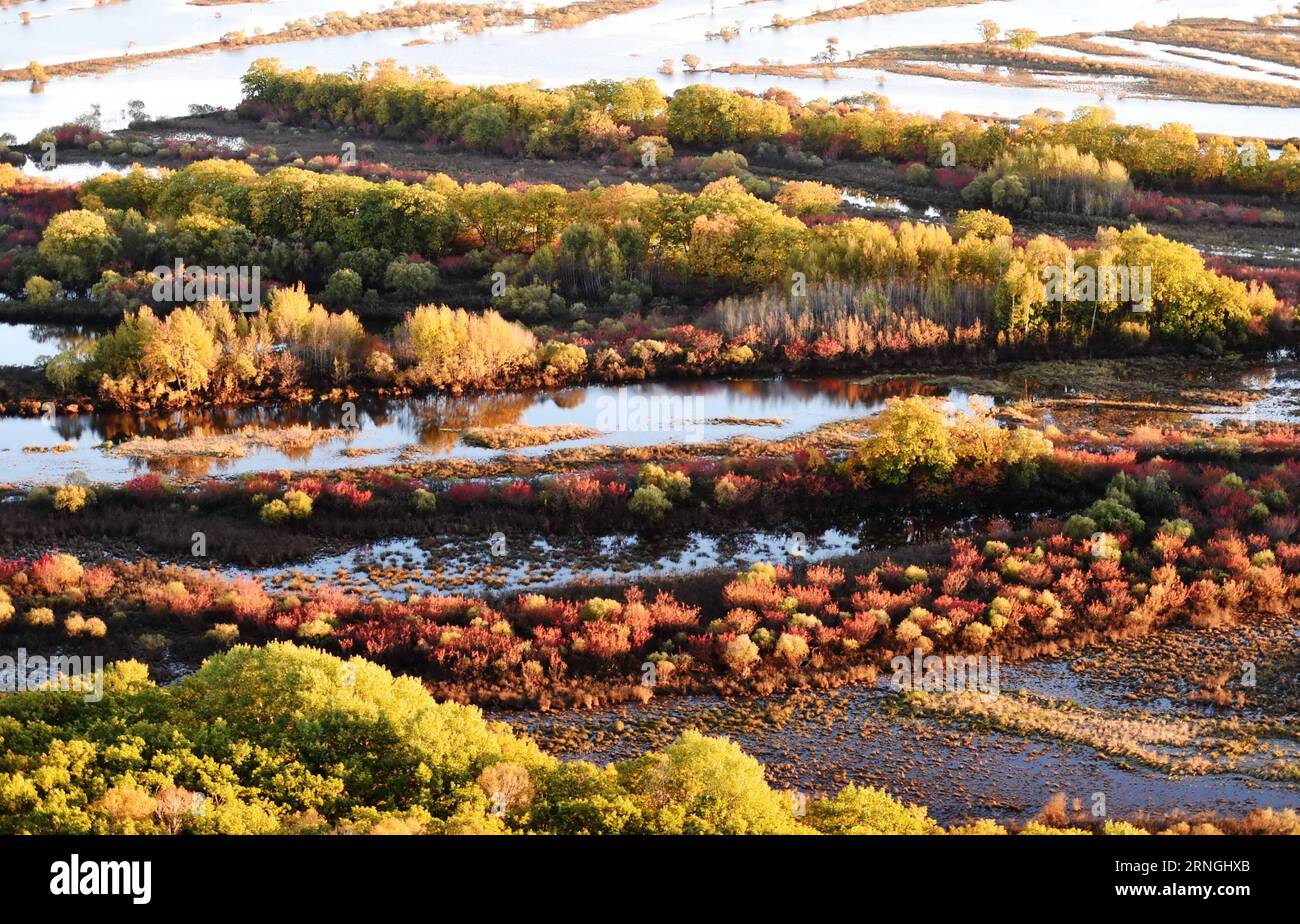 La foto scattata il 29 settembre 2016 mostra il paesaggio autunnale nella zona umida dell'isola di Zhenbao a Hulin, nella provincia di Heilongjiang nella Cina nordorientale. (Zwx) CHINA-HEILONGJIANG-AUTUMN SCENARIOS(CN) WangxJianwei PUBLICATIONxNOTxINxCHN foto scattata IL 29 2016 settembre mostra lo scenario autunnale a Zhenbao Islanda zona umida a Hulin provincia di Heilongjiang nel nord-est della Cina zwx China Heilongjiang Autumn Scenic CN WangxJianwei PUBLICATIONxNOTxINXCHN Foto Stock