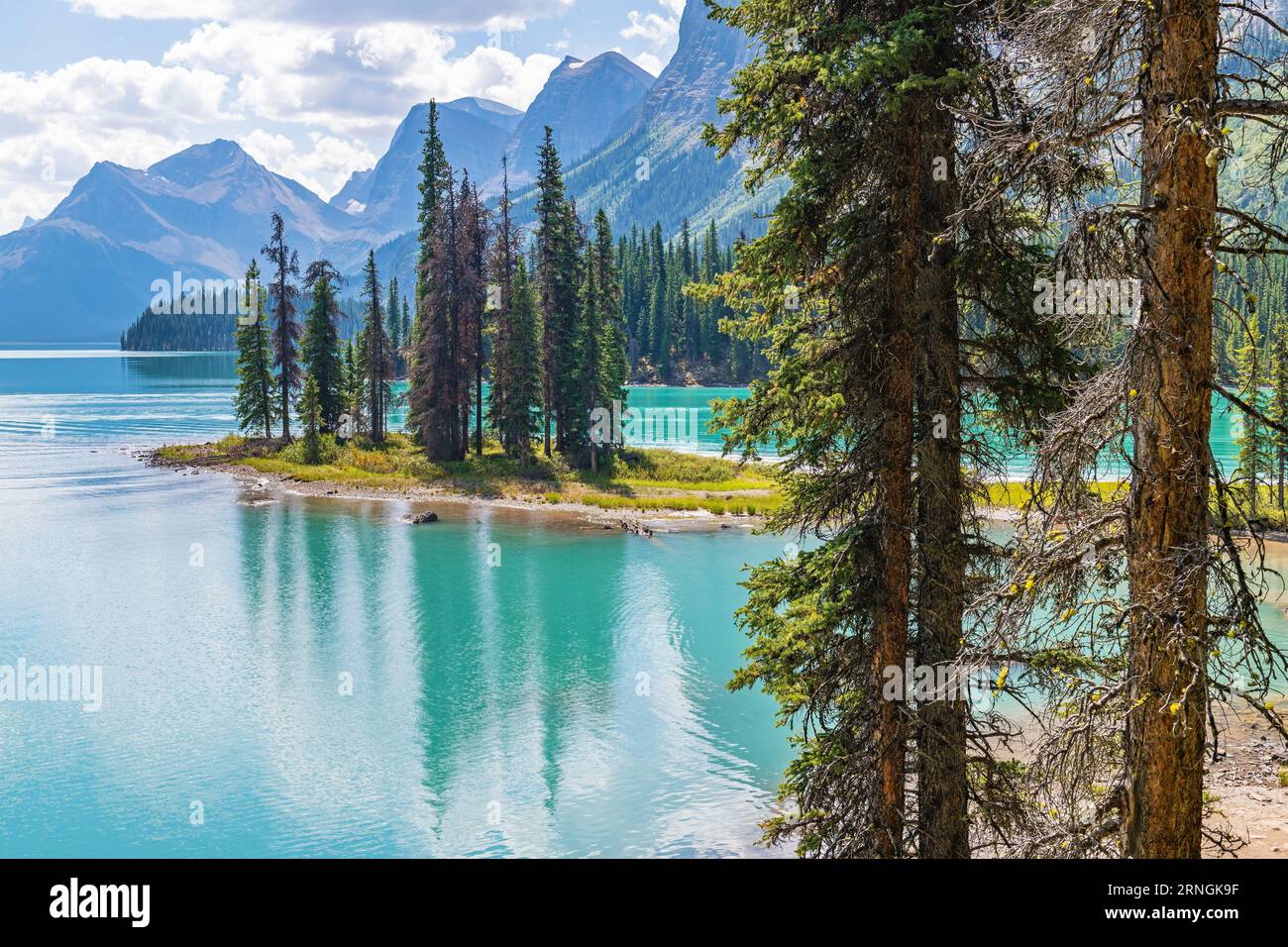 Spirit Island e Maligne Lake con pini, parco nazionale di Jasper, Canada. Foto Stock