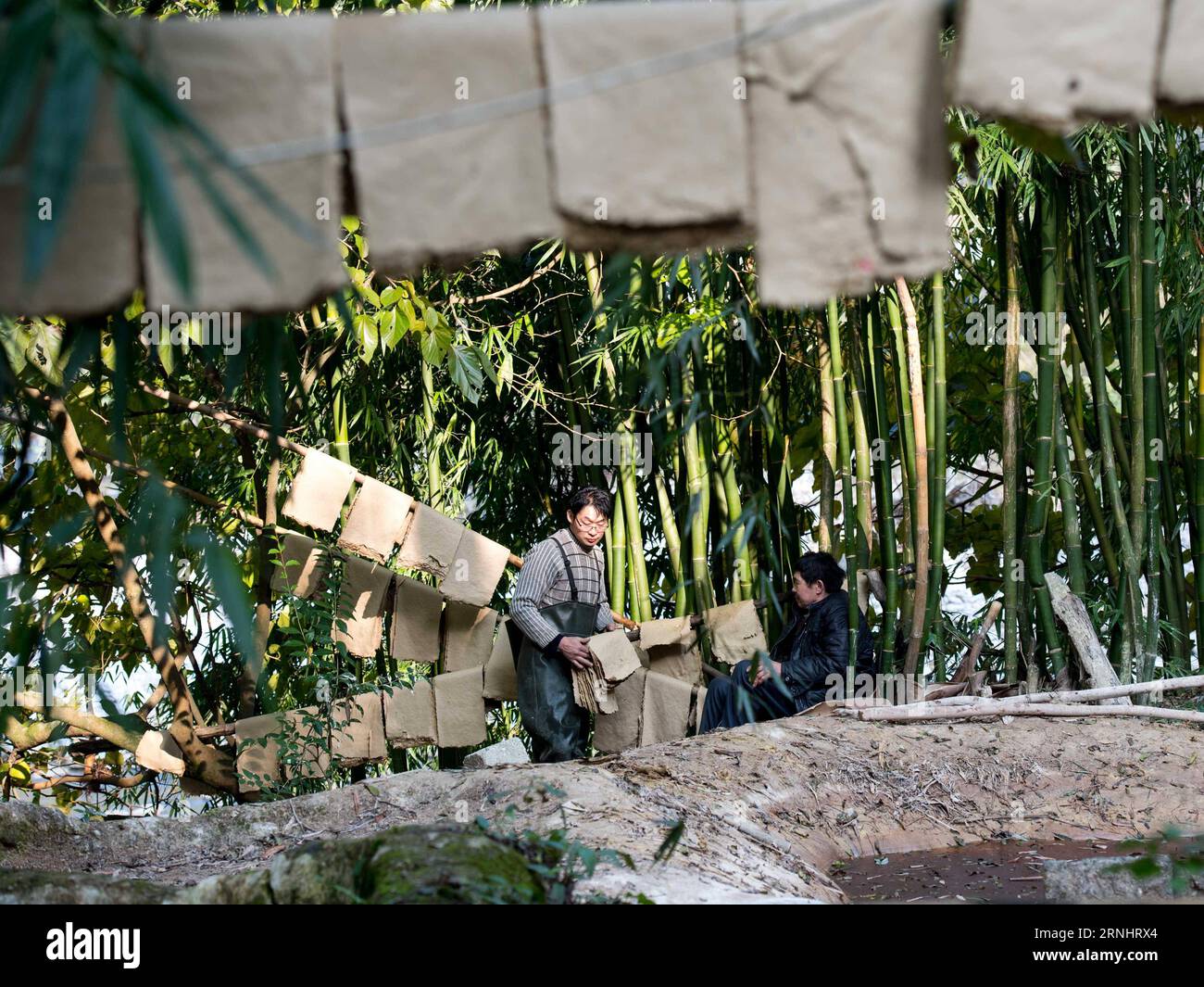 (161208) -- CHONGQING, 7 dicembre 2016 -- li Gaoqiang (L) e suo padre li Shilin asciugano carta Tuhuo a Xinglong Town, South West China S Chongqing, 7 dicembre 2016. La famiglia li, che vive nella città di Chongqing a Xinglong, ha tramandato il tradizionale mestiere di fabbricazione della carta Tuhuo attraverso cinque generazioni. La carta tuhuo, fatta di bambù che cresce nelle aree locali, richiede tecniche di alto livello in tutte le fasi di lavorazione. Tuttavia, con un'elevata intensità di manodopera, scarse vendite e bassi rendimenti, il mestiere è ereditato da pochi giovani, il che ha spinto il governo a svilupparlo come progetto turistico Foto Stock