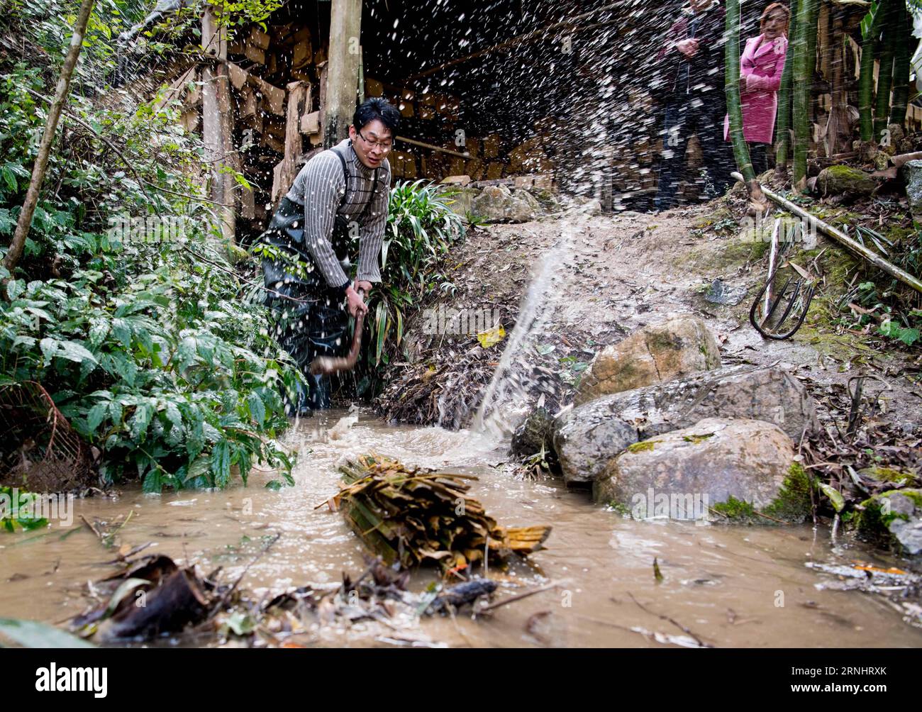 (161208) -- CHONGQING, 7 dicembre 2016 -- li Gaoqiang colpisce il bambù immerso nella calce nella città di Xinglong, a sud-ovest della Cina, a Chongqing, 7 dicembre 2016. La famiglia li, che vive nella città di Chongqing a Xinglong, ha tramandato il tradizionale mestiere di fabbricazione della carta Tuhuo attraverso cinque generazioni. La carta tuhuo, fatta di bambù che cresce nelle aree locali, richiede tecniche di alto livello in tutte le fasi di lavorazione. Tuttavia, con un'elevata intensità di manodopera, scarse vendite e bassi rendimenti, il mestiere è ereditato da pochi giovani, il che ha spinto il governo a svilupparlo come un progetto turistico con l'obiettivo di fischi Foto Stock