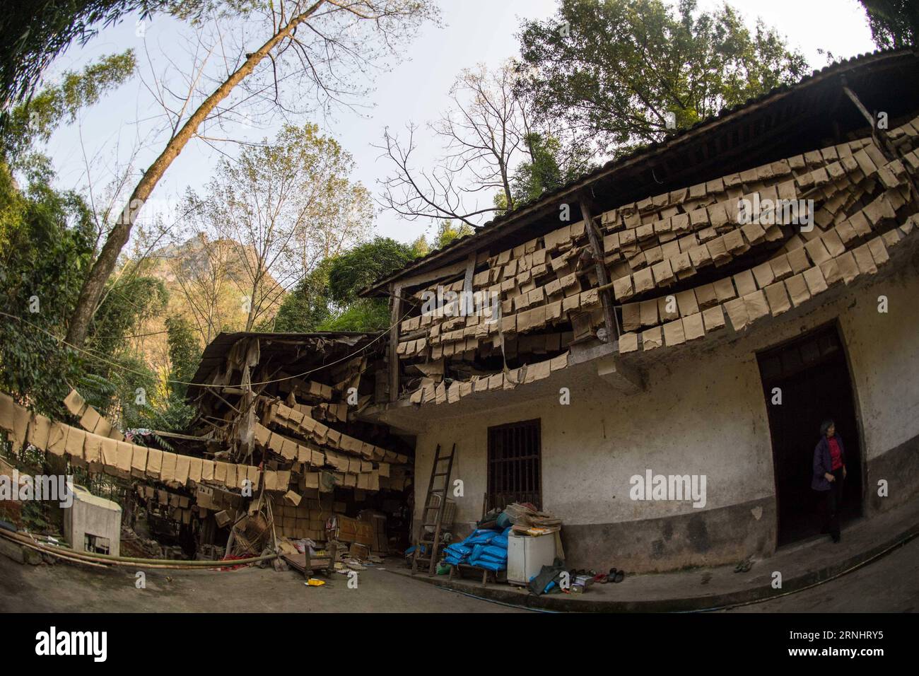 (161208) -- CHONGQING, 7 dicembre 2016 -- la carta Tuhuo è appesa alla casa di li Shilin a Xinglong Town, a sud-ovest della Cina, a Chongqing, 7 dicembre 2016. La famiglia li, che vive nella città di Chongqing a Xinglong, ha tramandato il tradizionale mestiere di fabbricazione della carta Tuhuo attraverso cinque generazioni. La carta tuhuo, fatta di bambù che cresce nelle aree locali, richiede tecniche di alto livello in tutte le fasi di lavorazione. Tuttavia, con un'elevata intensità di manodopera, scarse vendite e bassi rendimenti, il mestiere è ereditato da pochi giovani, il che ha spinto il governo a svilupparlo come un progetto turistico in un obiettivo Foto Stock