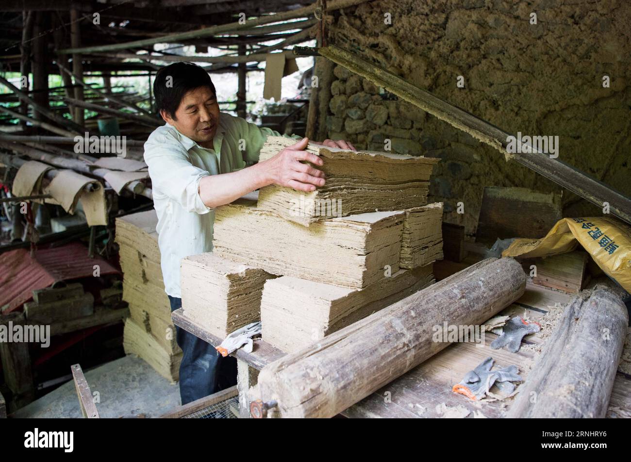 (161208) -- CHONGQING, 7 giugno 2016 -- li Shilin organizza la carta Tuhuo in un laboratorio a Xinglong Town, a sud-ovest della Cina, a Chongqing, 7 giugno 2016. La famiglia li, che vive nella città di Chongqing a Xinglong, ha tramandato il tradizionale mestiere di fabbricazione della carta Tuhuo attraverso cinque generazioni. La carta tuhuo, fatta di bambù che cresce nelle aree locali, richiede tecniche di alto livello in tutte le fasi di lavorazione. Tuttavia, con un'elevata intensità di manodopera, scarse vendite e bassi rendimenti, il mestiere è ereditato da pochi giovani, il che ha spinto il governo a svilupparlo come un progetto turistico per bo Foto Stock