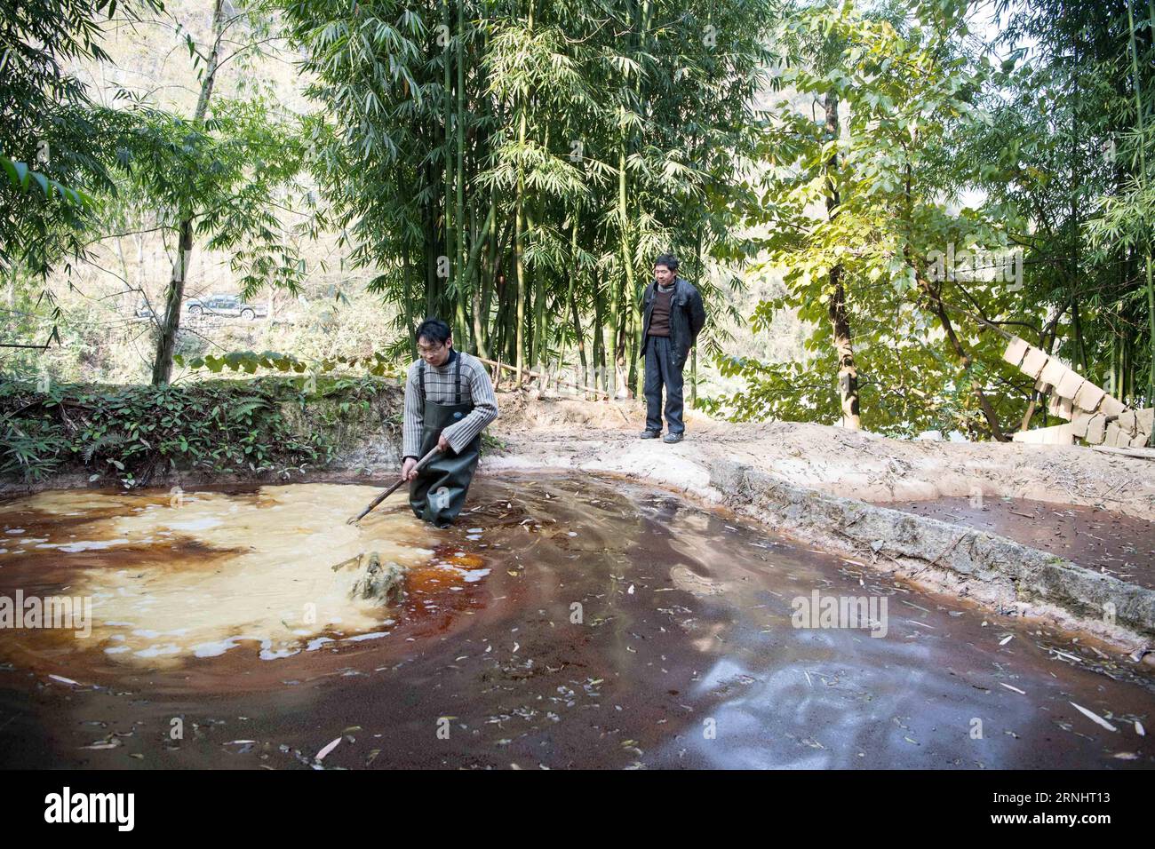(161208) -- CHONGQING, 7 dicembre 2016 -- li Gaoqiang (L) e suo padre li Shilin controllano l'immersione di bambù nella piscina di calce a Xinglong Town, South West China S Chongqing, 7 dicembre 2016. La famiglia li, che vive nella città di Chongqing a Xinglong, ha tramandato il tradizionale mestiere di fabbricazione della carta Tuhuo attraverso cinque generazioni. La carta tuhuo, fatta di bambù che cresce nelle aree locali, richiede tecniche di alto livello in tutte le fasi di lavorazione. Tuttavia, con un'elevata intensità di manodopera, scarse vendite e bassi rendimenti, il mestiere è ereditato da pochi giovani, il che ha spinto il governo a svilupparlo Foto Stock