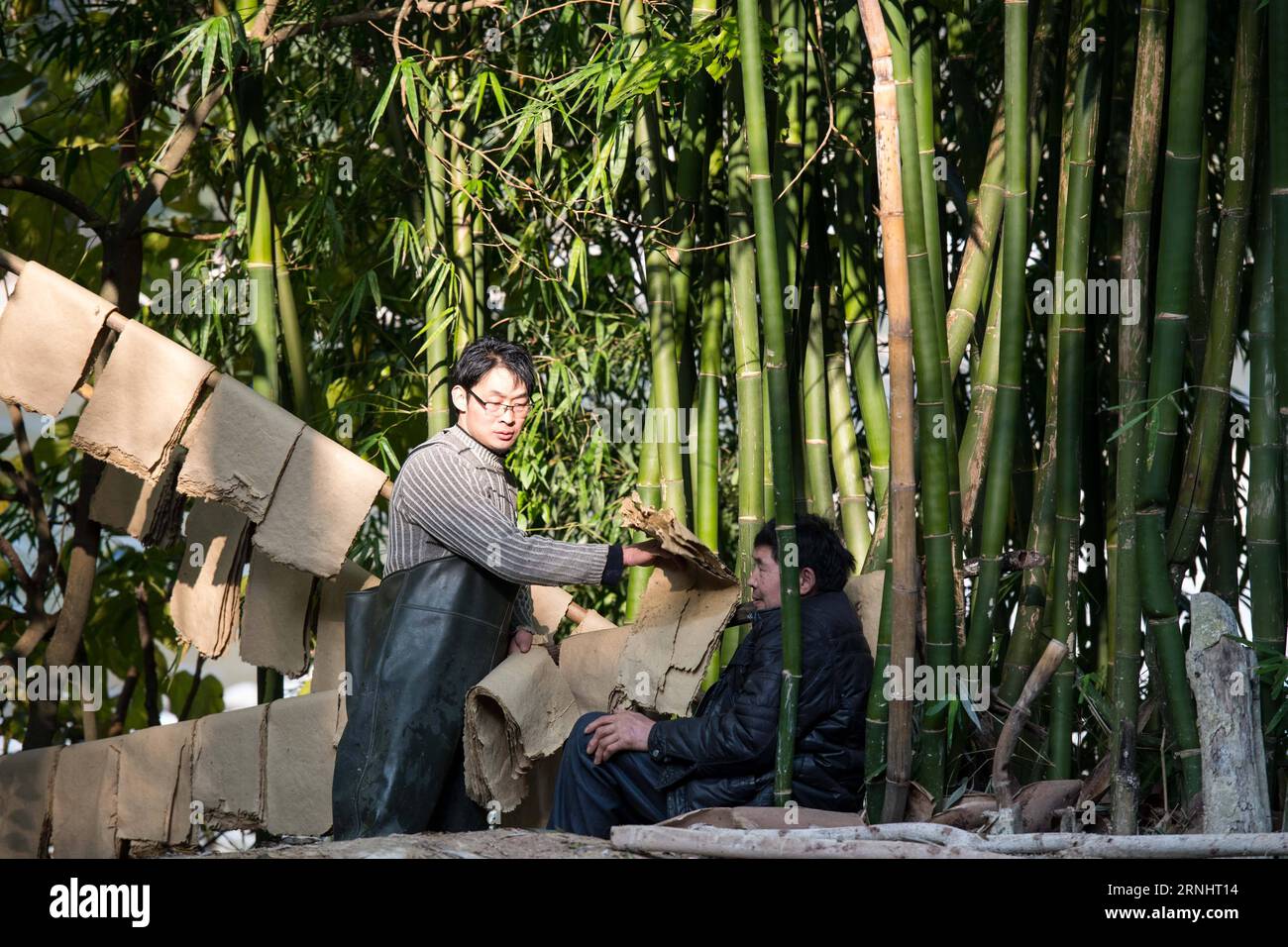 (161208) -- CHONGQING, 7 dicembre 2016 -- li Gaoqiang (L) e suo padre li Shilin asciugano carta Tuhuo a Xinglong Town, South West China S Chongqing, 7 dicembre 2016. La famiglia li, che vive nella città di Chongqing a Xinglong, ha tramandato il tradizionale mestiere di fabbricazione della carta Tuhuo attraverso cinque generazioni. La carta tuhuo, fatta di bambù che cresce nelle aree locali, richiede tecniche di alto livello in tutte le fasi di lavorazione. Tuttavia, con un'elevata intensità di manodopera, scarse vendite e bassi rendimenti, il mestiere è ereditato da pochi giovani, il che ha spinto il governo a svilupparlo come progetto turistico Foto Stock