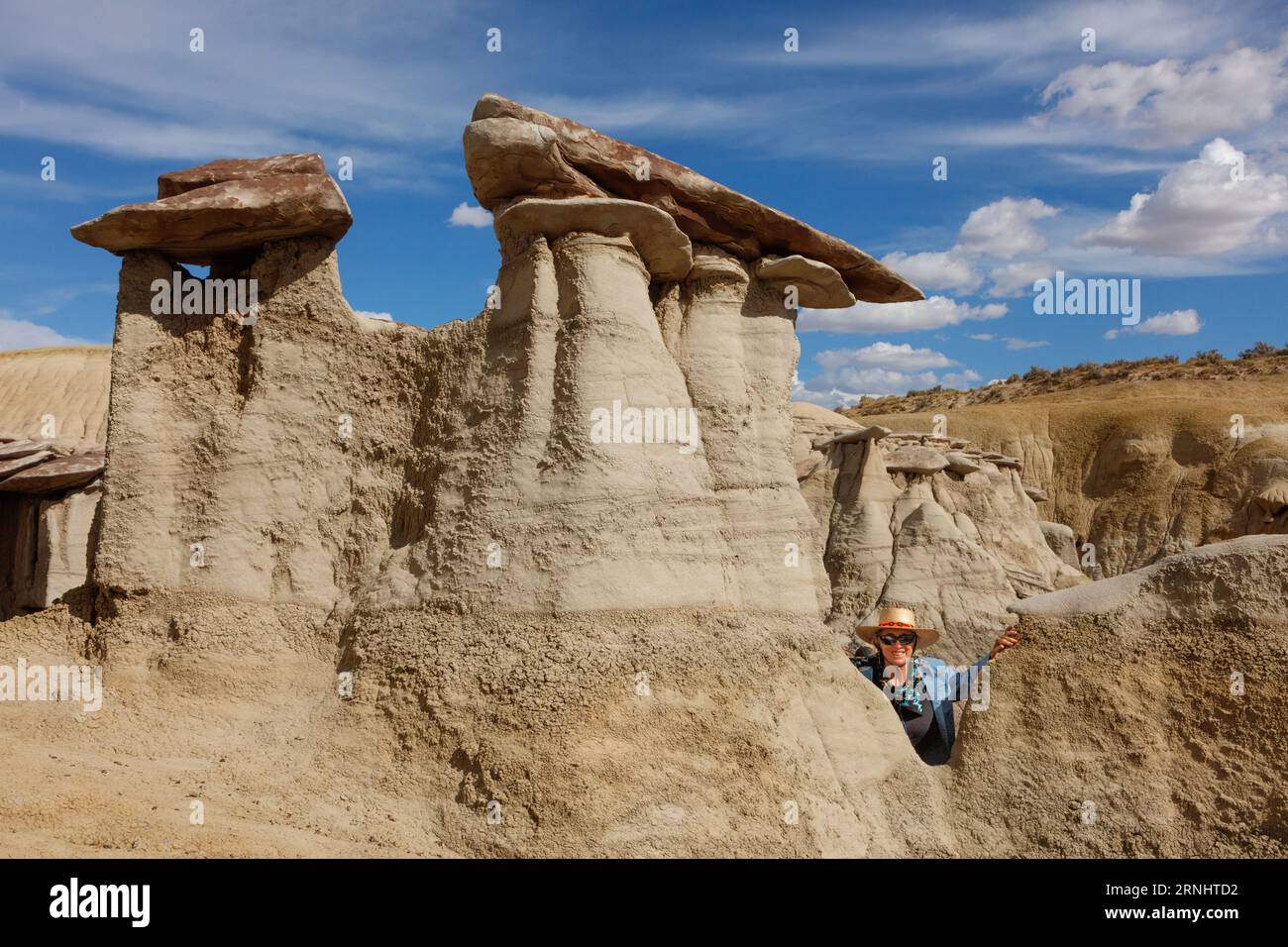 La Ah-Shi-SLE Pah Wilderness Study area ha alcune delle migliori formazioni hoodoo nelle dolci colline argillose scavate nell'acqua dei calanchi del New Mexico Foto Stock