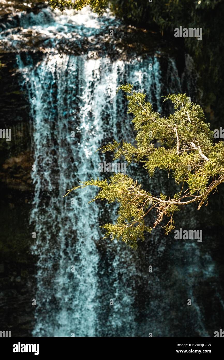 Un pezzo di bellezza nel mezzo di una città Foto Stock